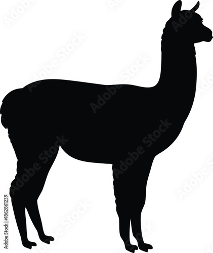 Elegant black profile silhouette of a standing llama ready for various design applications