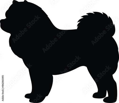 Fluffy Chow Chow dog silhouette standing calmly representing its distinctive thick fur and regal stance
