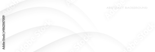Gray line background curve element with white space for text and message design, overlapping layers. modern trendy design