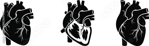 Detailed black and white human heart illustrations