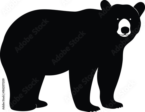 Majestic black bear standing proudly perfect for wildlife nature themed design projects and outdoor branding