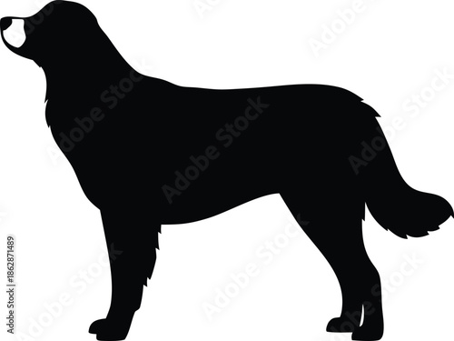 Majestic canine companion in silhouette representing loyalty and domestic pet elegance