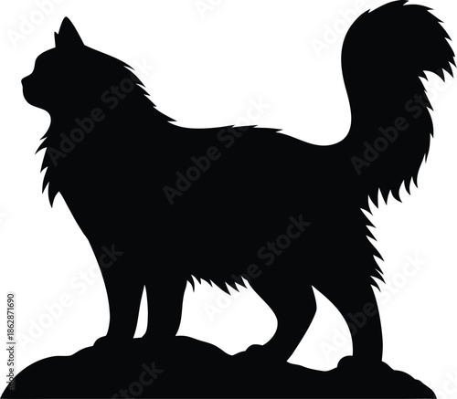 Majestic fluffy cat silhouette standing tall on a small hill, displaying a regal pose