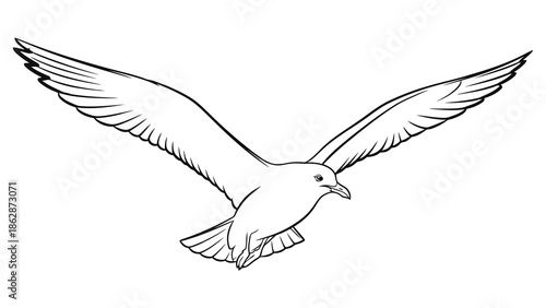 Bird flying in the air with outstretched wings