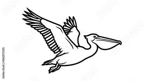 Pelican bird flying in the air