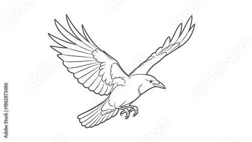 Bird flying with outstretched wings in black and white illustration