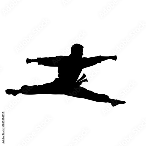 Silhouette of a Karate Practitioner Performing a Flying Side Kick.