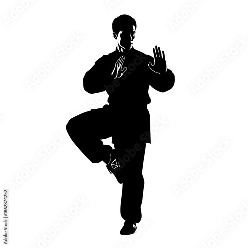 Silhouette of a man in a martial arts stance demonstrating balance and control.