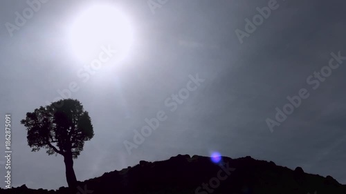 Wallpaper Mural Timelapse of a tree with the sun moving across the sky, styled with an old vintage look. Warm faded tones create a nostalgic atmosphere, showing the passage of time and timeless nature. Torontodigital.ca