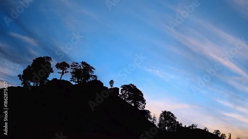 Wallpaper Mural Evening timelapse of a forest as light fades and shadows grow deeper. Trees turn into silhouettes while the sky changes color, creating a calm and cinematic nature atmosphere. Torontodigital.ca