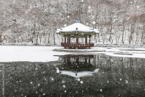 Wallpaper Mural 우화정의 겨울 Torontodigital.ca