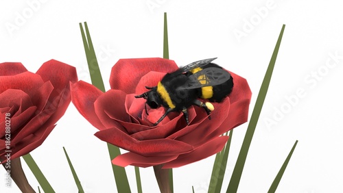 bumblebee on red rose
