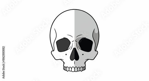 Stylized skull illustration with clean lines and shading for graphic design projects.