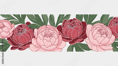 Border Of Pink And Red Peonies With Green Leaves