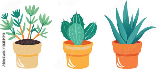 Three potted succulents in a minimalist style showcasing desert plant life high quality