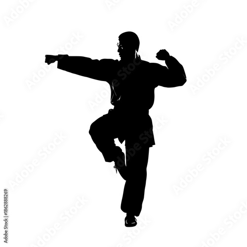 Silhouette of a Karate Practitioner in Mid-Motion.