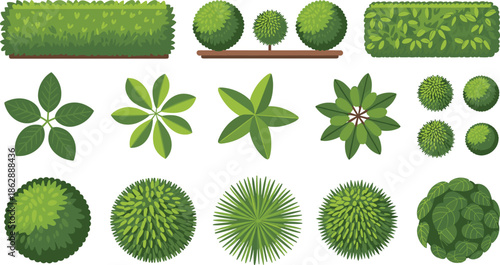 Garden shrubs bushes and hedges top view collection flat vector illustration for landscape design planning and greenery layouts