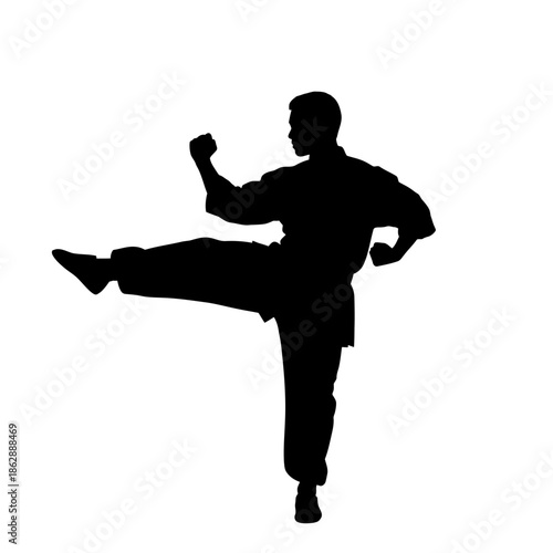Silhouette of a man practicing martial arts kick.