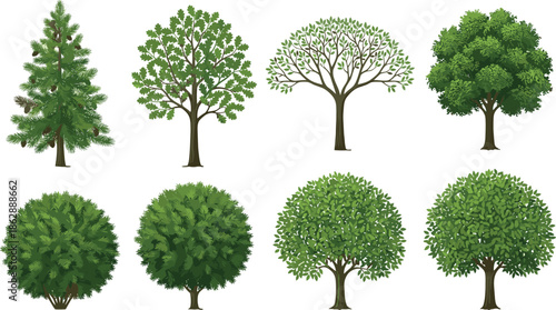 Green trees and bushes collection with different shapes and foliage types, natural forest plants set, detailed flat vector illustration isolatedGreen trees and bushes collection with different shapes 