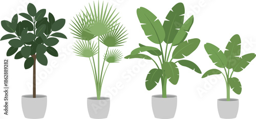 Indoor potted house plants illustration set with tropical foliage varieties, modern home decor greenery collection, clean flat vector isolated on white background