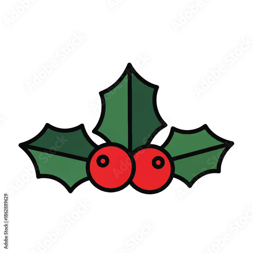Bright holly leaves with red berries against white background, festive greenery and seasonal charm.