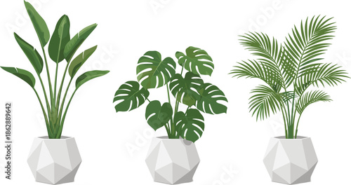Indoor tropical house plants illustration set with monstera palm and banana foliage, modern geometric pots, stylish home decor flat vector isolated on white