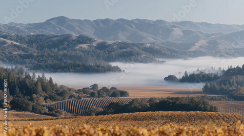 Morning mist shrouds the valley with hills and haze, a tranquil natural landscape.