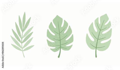 Minimal tropical watercolor leaf vector collection isolated on white