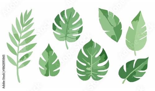 Decorative tropical watercolor foliage vector set isolated on white background