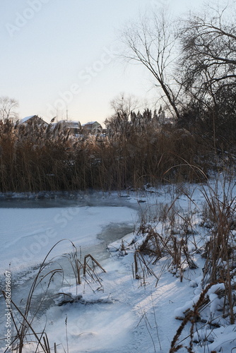 Obraz na płótnie Frozen lake landscape with snow-covered ice, reeds, and winter shoreline under a blue sky, calm seasonal scenery showing cold weather nature, tranquil water edges, and rural winter atmosphere