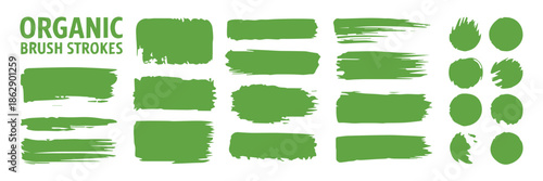 brushstroke hand painted green brush marks and circular stamps