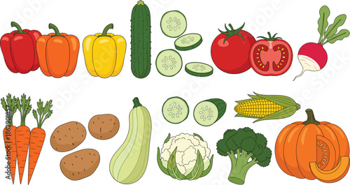 Fresh vegetable collection featuring colorful pepper tomato cucumber carrot potato corn pumpkin broccoli and cauliflower for healthy food grocery and flat vector design.