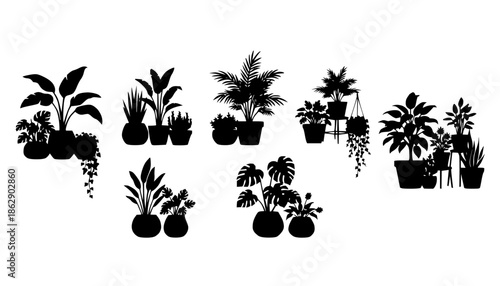 Indoor Plant Biophilic Design Silhouette