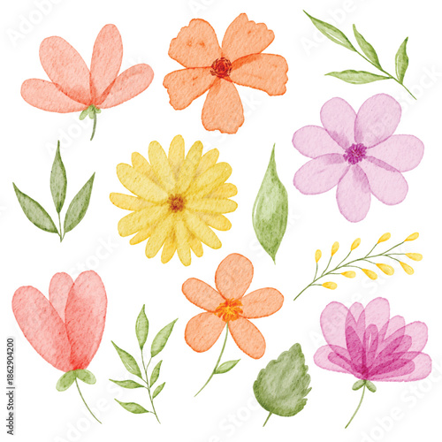 Watercolor Floral Vector Set