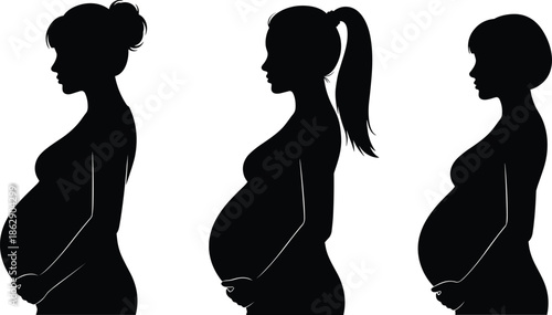 Set of Three Pregnant Women Silhouettes Side Profile Vector Illustration