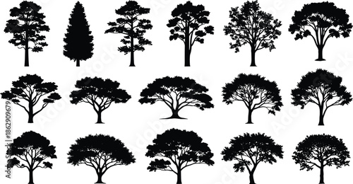 Set of various tree silhouettes vector illustration showing different deciduous and coniferous tree shapes isolated on white background for design.