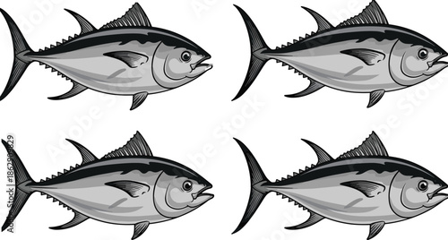 Set of Four Atlantic Bluefin Tuna Fish Vector Illustrations Isolated on White Background for Seafood Market Logo and Fishing Labels