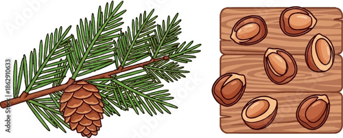 A pine branch with a cone and nuts on a wooden background