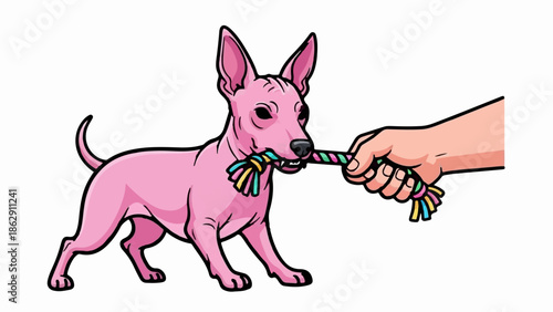 A playful pink dog is tugging on a colorful rope toy held by a human hand