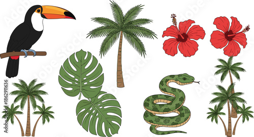 Untitled-1Tropical jungle vector set featuring a toucan bird, palm trees, green monstera leaves, red hibiscus flowers, and a coiled green snake.