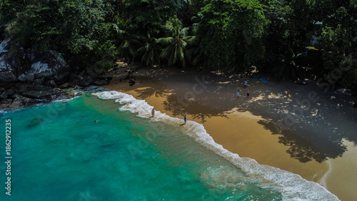 Blue Water Inlet: Clear Shallow Sea and Sandy Shore Framed by Trees