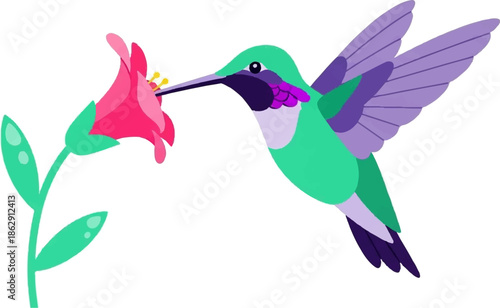 A vibrant hummingbird with iridescent teal and purple plumage drinks nectar from a pink flower