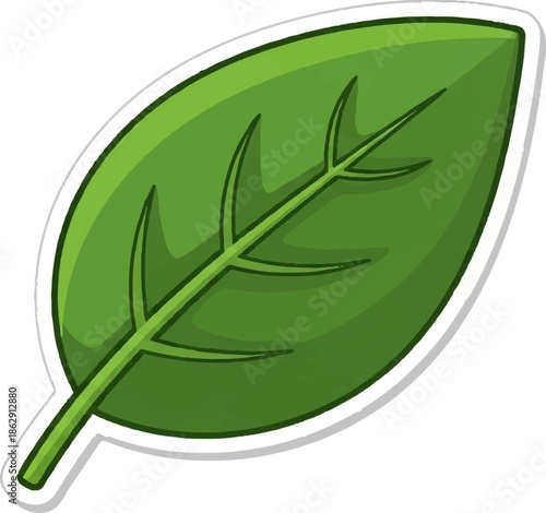 A single, vibrant green leaf with prominent veins and a simple cartoonish style is centered
