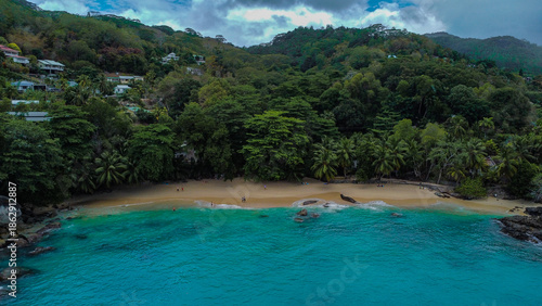Moody Coastal Landscape: Small Sandy Cove and Jungle Vegetation