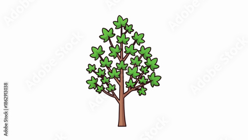 A simple cartoon illustration of a deciduous tree with a brown trunk and green leaves