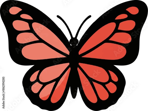 A striking butterfly with bold black outlines and vibrant coral wings, featuring delicate vein-like patterns