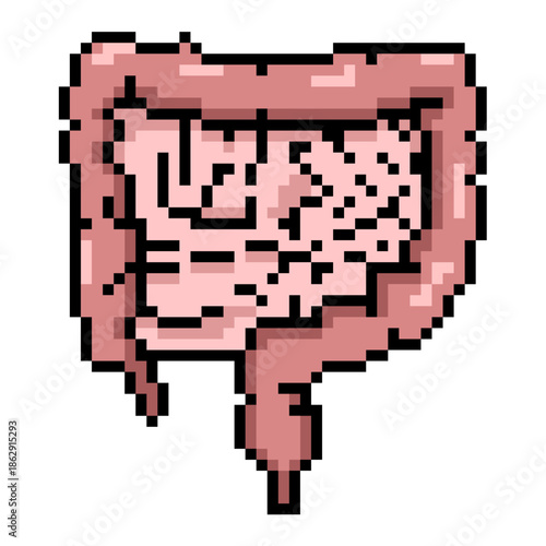 Pixel intestines vector for anatomy games. Ideal for internal organs, medical health stats, zombie gore, and retro 8-bit biology diagrams.
