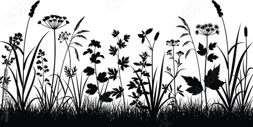 Silhouette of wild meadow grass and flowers border, black herbs field background, botanical nature, cad drawing flat vector illustration