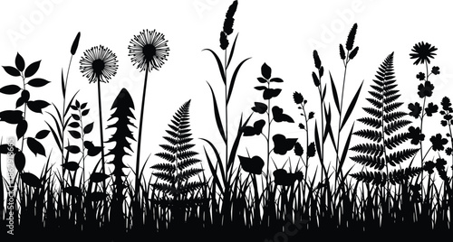 Wild meadow plants silhouette border, dandelions and ferns field, nature vector collection, cad drawing flat vector illustration