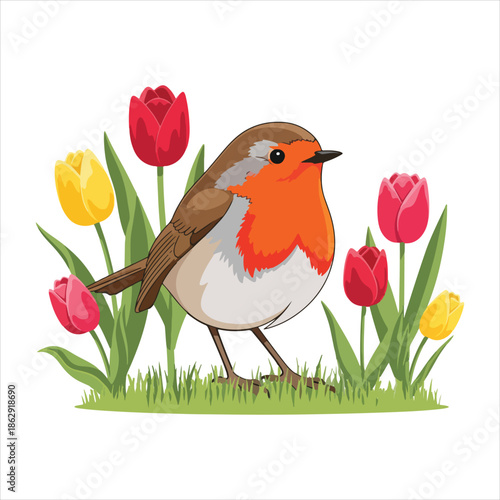 Beautiful illustration of a European Robin bird standing on green grass surrounded by red and yellow tulips, isolated on a white background, representing spring, nature, and garden wildlife.
